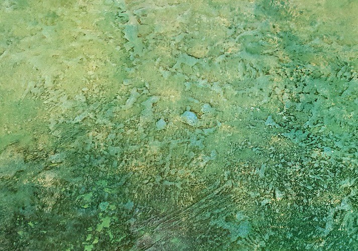 Patine verte